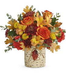 Autumn Colors Bouquet from Swindler and Sons Florists in Wilmington, OH